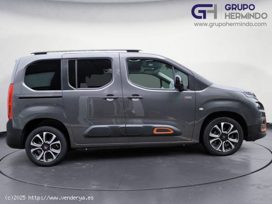 Citroën Berlingo TALLA M SHINE BLUE HDI 130 CV - Ponteareas