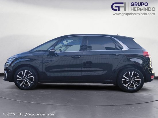 Citroën C4 Spacetourer BLUE HDI 130 CV FEEL - Ponteareas