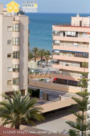 VIVIENDA EN ALQUILER DE MARZO A JUNIO - ALICANTE