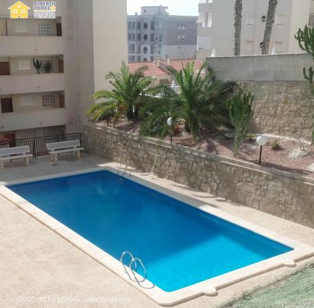 VIVIENDA EN ALQUILER DE MARZO A JUNIO - ALICANTE