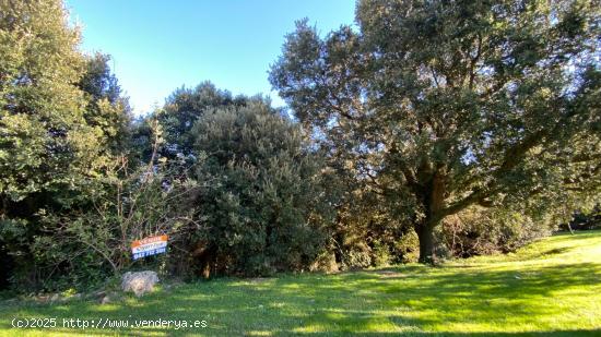  FINCA RÚSTICA EN CASTRO URDIALES, CANTABRIA (CALLLE VALMASEDA) - CANTABRIA 