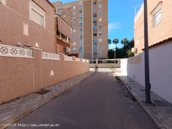 CASA O CHALET EN VENTA EN ALICANTE - ZONA ALBUFERETA (COLONIA ROMANA) - ALICANTE