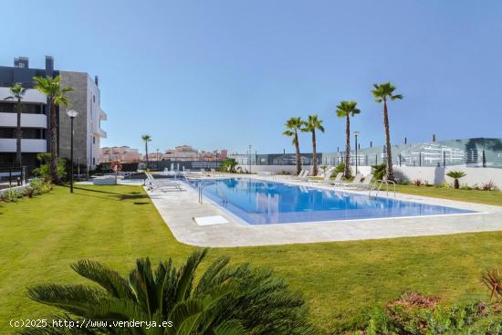 APARTAMENTO CON VISTAS A LA PISCINA. - ALICANTE