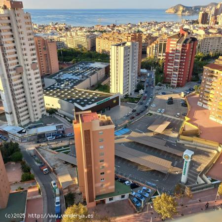 Precioso Atico en el centro de la ciudad de Benidorm. - ALICANTE