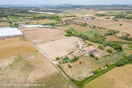 Suelo Rústico de 65.703 m2 con casa antigua para reformar - BALEARES