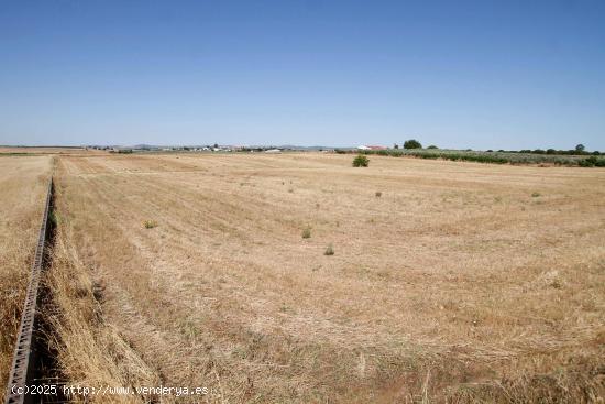 Terreno de 40.000 m junto Urb. Río Caya - BADAJOZ