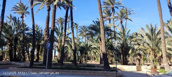  ¡GRAN OPORTUNIDAD! LOCAL EN VENTA A UN PASO DEL CENTRO DE ELCHE - ALICANTE 