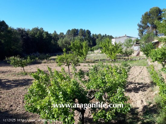 Finca en venta en Calaceite (Teruel)