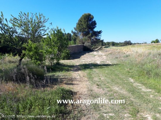 Finca en venta en Calaceite (Teruel)