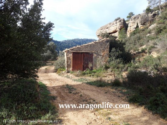  Finca en venta en Batea (Tarragona) 