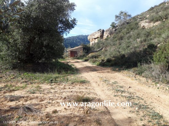 Finca en venta en Batea (Tarragona)