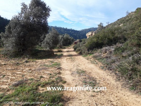 Finca en venta en Batea (Tarragona)