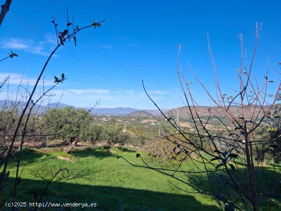 Finca en alquiler en Alhaurín el Grande (Málaga)