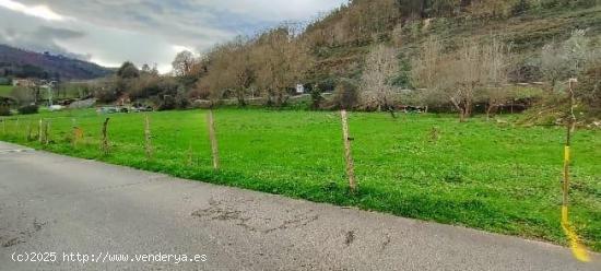  FINCA URBANA  DE 2.198 METROS CUADRADOS EN RIOCORVO.- - CANTABRIA 