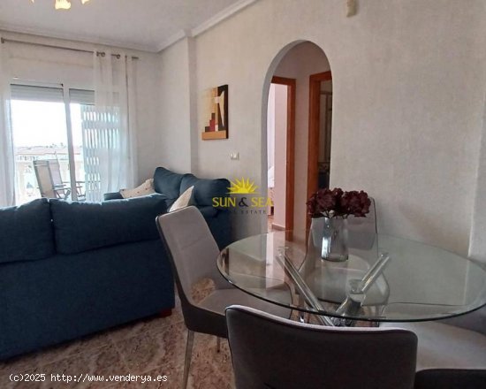 Apartamento en alquiler en Orihuela (Alicante)