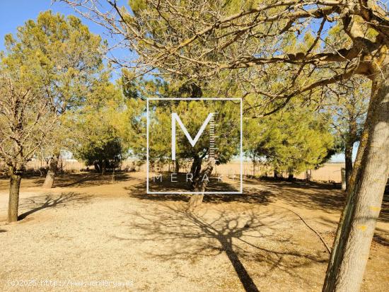 CASA DE MADERA CON TERRENO EN LA FELIPA - ALBACETE