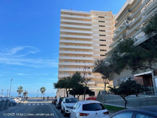 Apartamento en alquiler en Fuengirola (Málaga)