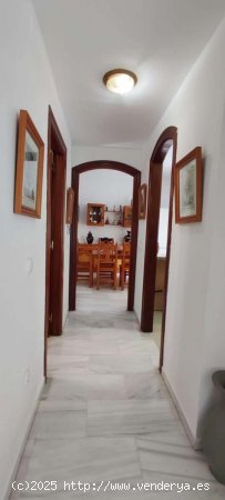 Apartamento en alquiler en Fuengirola (Málaga)