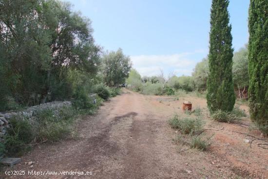 Finca rústica con pequeña caseta - BALEARES