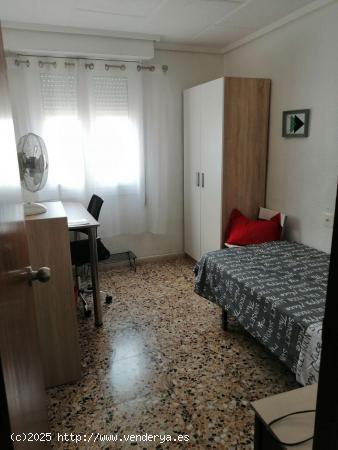  Habitación en alquiler en piso compartido en Elche, Alicante - ALICANTE 