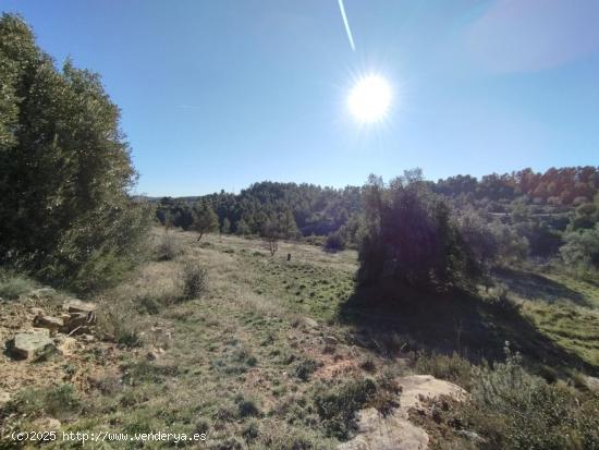  Finca rústica en La Fresneda - TERUEL 