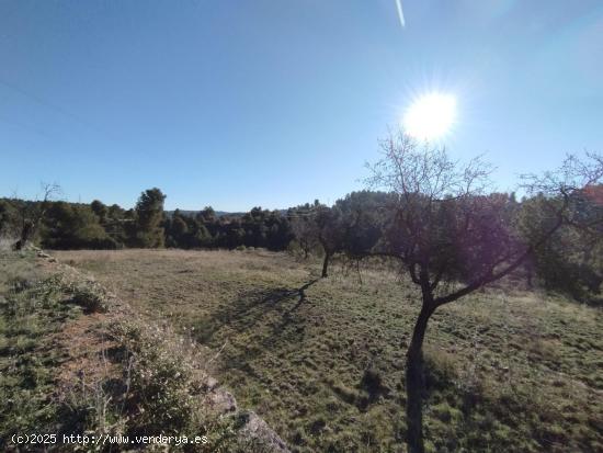 Finca rústica en La Fresneda - TERUEL