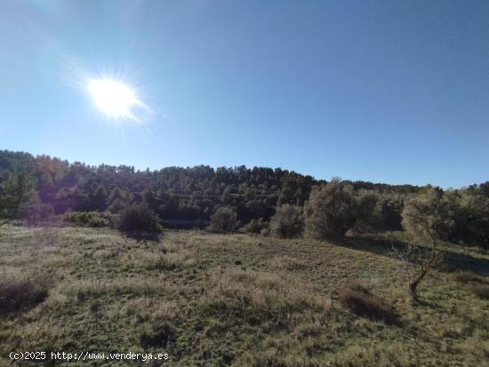 Finca rústica en La Fresneda - TERUEL