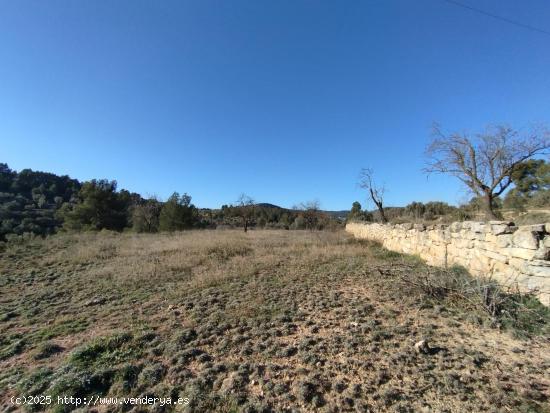 Finca rústica en La Fresneda - TERUEL