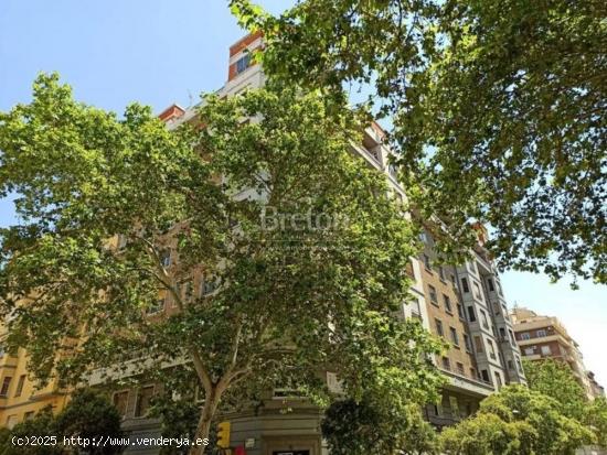  Precioso piso junto a Paseo Fernando el Católico. - ZARAGOZA 