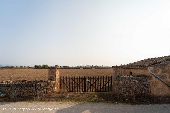  Finca Parcela en Son Bordils, Inca - BALEARES 