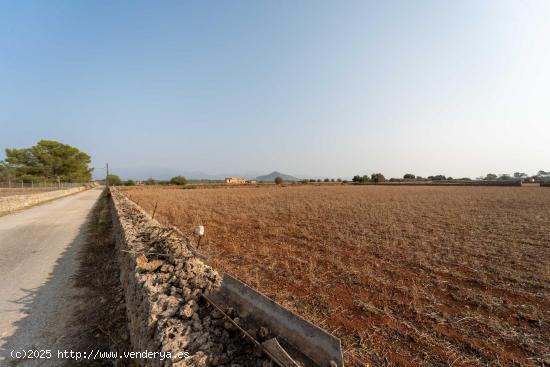 Finca Parcela en Son Bordils, Inca - BALEARES