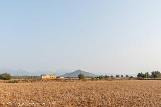 Finca Parcela en Son Bordils, Inca - BALEARES