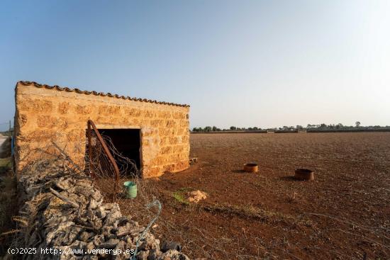 Finca Parcela en Son Bordils, Inca - BALEARES