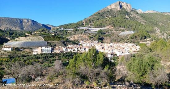  Terreno de 7800 m² con riego,para el cultivo de limoneros  y otras plantas en Bolulla 40.000€💰 