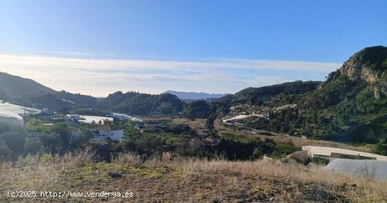 Terreno de 7800 m² con riego,para el cultivo de limoneros  y otras plantas en Bolulla 40.000€💰