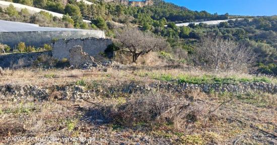 Terreno de 7800 m² con riego,para el cultivo de limoneros  y otras plantas en Bolulla 40.000€💰