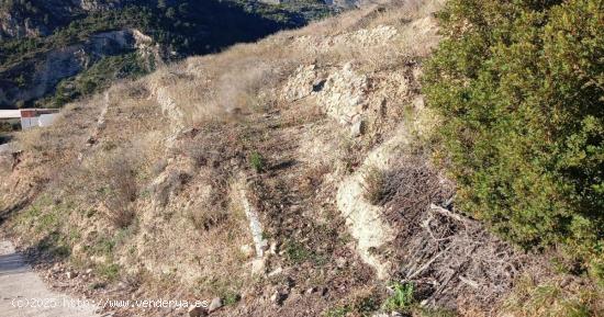 Terreno de 7800 m² con riego,para el cultivo de limoneros  y otras plantas en Bolulla 40.000€💰