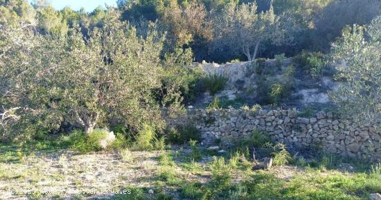 Terreno en Bolulla camino a Tarbena 9000m²💰 Precio: 40,000 € - ALICANTE