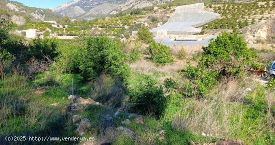  Se Vende en Bolulla - ALICANTE 