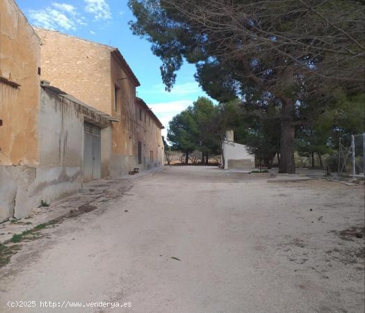 FINCA DE ALMENDROS CON CASONA EN YECLA - MURCIA