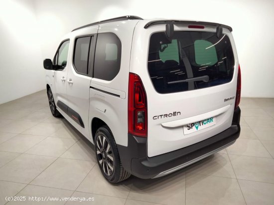 Citroën Berlingo Talla M BlueHDi 130 S&S MAX - Álava