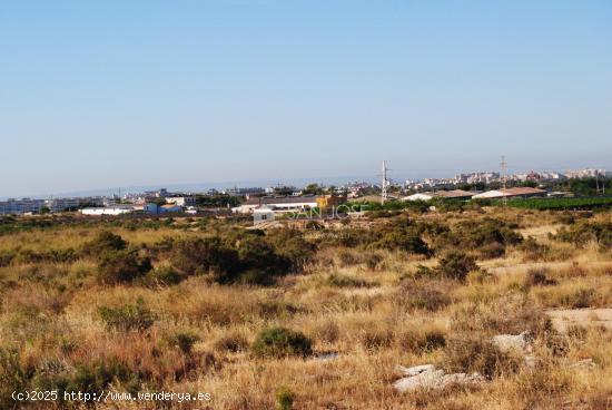 SE VENDE FINCA RUSTICA EN PARTIDA DE ALTABIX ELCHE - ALICANTE