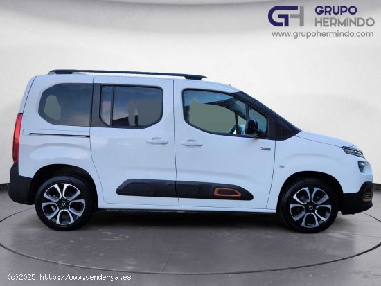 Citroën Berlingo TALLA M BLUE HDI 100 CV SHINE - Ponteareas