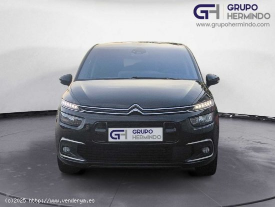 Citroën C4 Spacetourer BLUE HDI 130 CV FEEL - Ponteareas