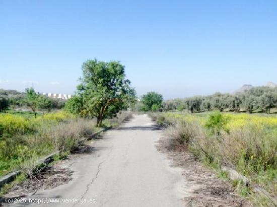 Conjunto de terrenos urbanizables en Urbanización Cortijo del Aire, Fase II. - GRANADA