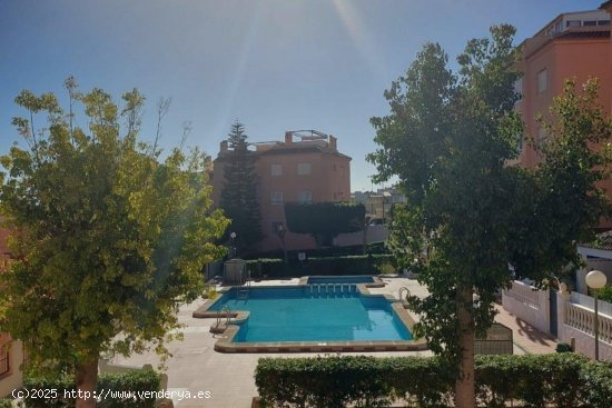 Apartamento en venta en Torrevieja (Alicante)