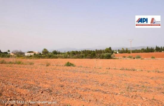  Gran finca con posibilidad de reformar vivienda. - BALEARES 