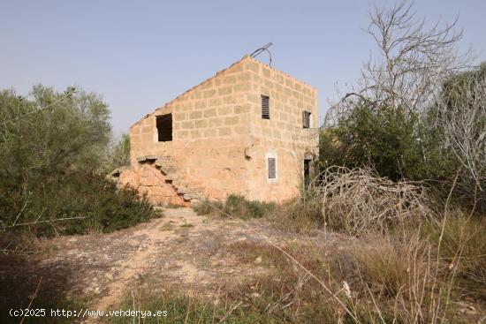 Gran finca con posibilidad de reformar vivienda. - BALEARES