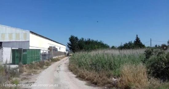 Terreno Urbanizable en Venta en Avda. Region Murciana Los Dolores Murcia - MURCIA