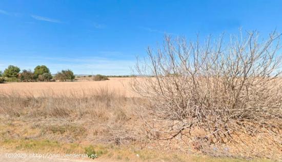  Finca rústica en venta en lugar La Mariana y el Cortijo Valladolises Murcia - MURCIA 